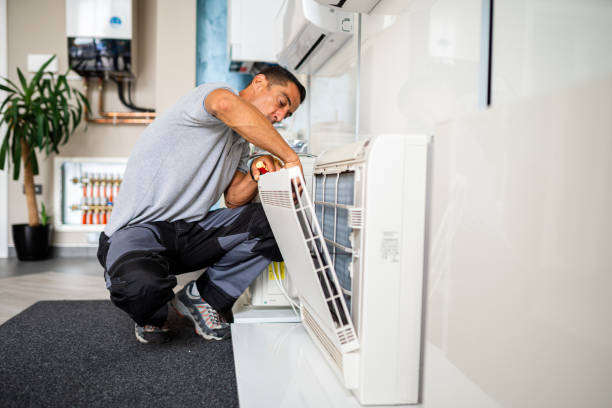 Best Mold and Mildew Removal from Ducts in Mcfarland, CA